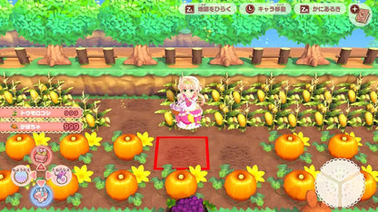 Pretty Princess Magical Garden Island Switch - Nippon Columbia Japan- Japan Figure Store - #1 Bring To You The Best Japanese Goods