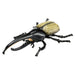 Takara Tomy Ania AS-38 Hercules Beetle Educational Toy Model- Japan Figure Store - #1 Bring To You The Best Japanese Goods