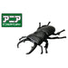 Takara Tomy Ania AS-41 Dorcus Titanus Figure Toy Collectible- Japan Figure Store - #1 Bring To You The Best Japanese Goods