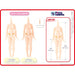 International 1/12 Pico Neemo S Girl Fresh Doll Body- Japan Figure Store - #1 Bring To You The Best Japanese Goods