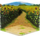 Plm Dioramansion 150 Sunflower Field Model - Scenic Diorama Backdrop Display- Japan Figure Store - #1 Bring To You The Best Japanese Goods