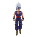 Bandai Spirits Dragon Ball Super Son Gohan Beast S.H.Figuarts Shop Exclusive- Japan Figure Store - #1 Bring To You The Best Japanese Goods