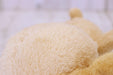 San-X Hatayama Shoji Sugar Friends Caramel Plush Toy S- Japan Figure Store - #1 Bring To You The Best Japanese Goods