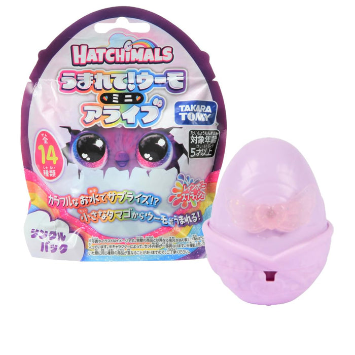 Takara Tomy Hatchimals Mini Alive Rainbow Splash Toy Single Pack- Japan Figure Store - #1 Bring To You The Best Japanese Goods