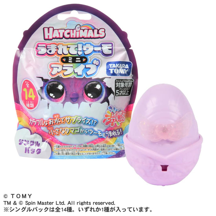 Takara Tomy Hatchimals Mini Alive Rainbow Splash Toy Single Pack- Japan Figure Store - #1 Bring To You The Best Japanese Goods