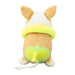 Pokemon Center Original Yamper Plush Doll Japan Official - Pyokotto Mite Mite- Japan Figure Store - #1 Bring To You The Best Japanese Goods