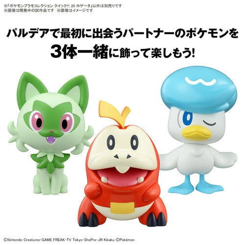 Pokemon Plastic Model Quick Hogeta Kit - Easy Assembly Model Collection- Japan Figure Store - #1 Bring To You The Best Japanese Goods