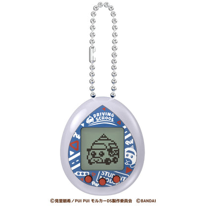 Pui Pui Molcatchi Grey Driving School Model