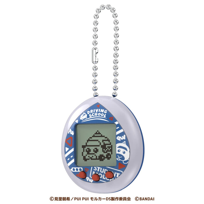 Pui Pui Molcatchi Grey Driving School Model