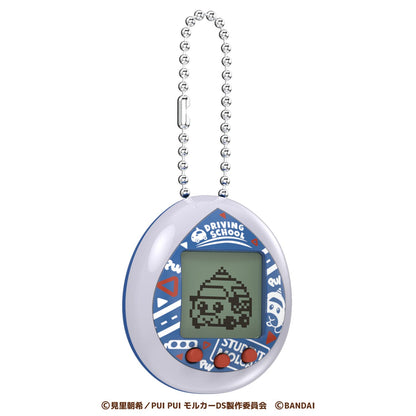 Pui Pui Molcatchi Grey Driving School Model