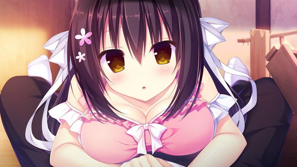 Raspberry Cube Standard Edition for PS4 - Ultimate Gaming Experience- Japan Figure Store - #1 Bring To You The Best Japanese Goods