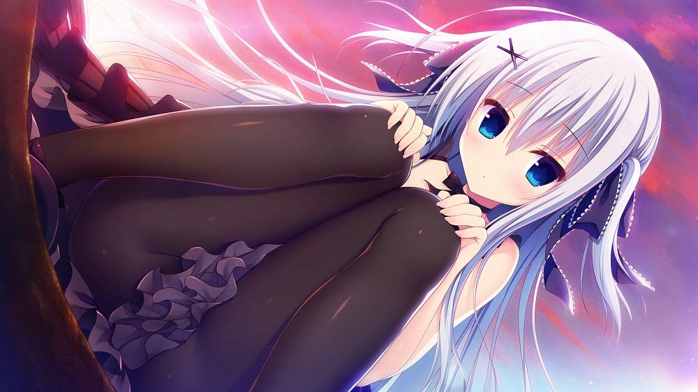 Raspberry Cube Standard Edition for PS4 - Ultimate Gaming Experience- Japan Figure Store - #1 Bring To You The Best Japanese Goods