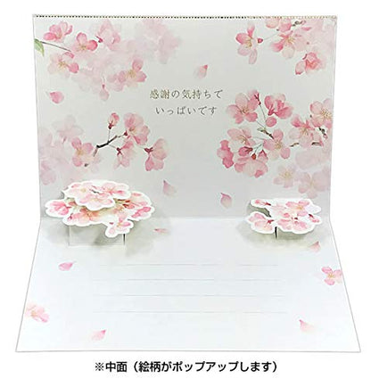 Sanrio Watercolor Cherry Blossom Thank You Card - Graduation/Admission Greeting- Japan Figure Store - #1 Bring To You The Best Japanese Goods