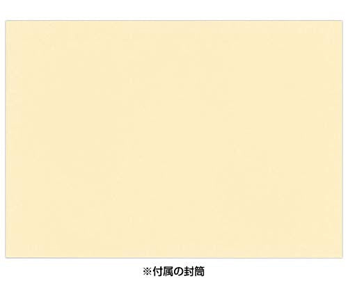 Sanrio Watercolor Cherry Blossom Thank You Card - Graduation/Admission Greeting- Japan Figure Store - #1 Bring To You The Best Japanese Goods