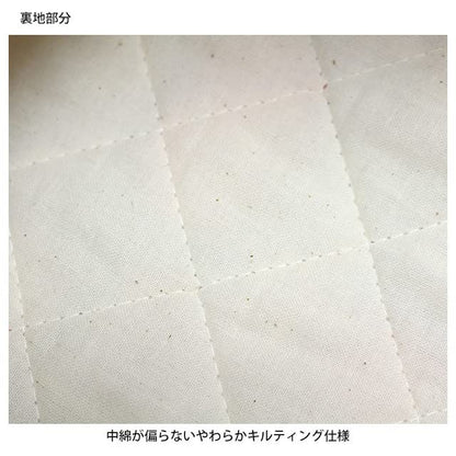 Sanrio Cinnamoroll Girls Shoe Case CG-3011 Durable and Stylish- Japan Figure Store - #1 Bring To You The Best Japanese Goods