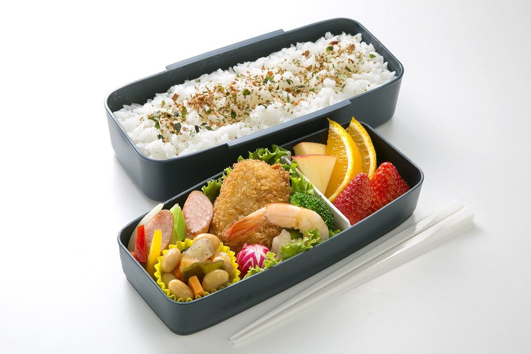 Skater Large 900ml 2-Tier Bento Lunch Box for Men Mizuno Design - Made in Japan- Japan Figure Store - #1 Bring To You The Best Japanese Goods