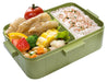 Skater Marche Avocado Bento Lunch Box - 650ml with 4-Point Lock- Japan Figure Store - #1 Bring To You The Best Japanese Goods