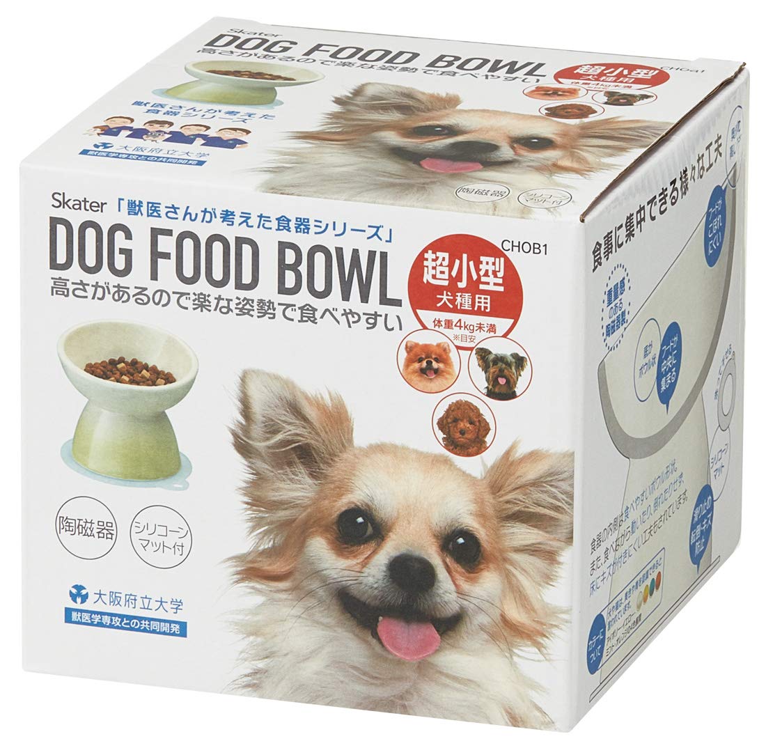Skater Extra Small Dog Ceramic Food Bowl with Mat Orange- Japan Figure Store - #1 Bring To You The Best Japanese Goods