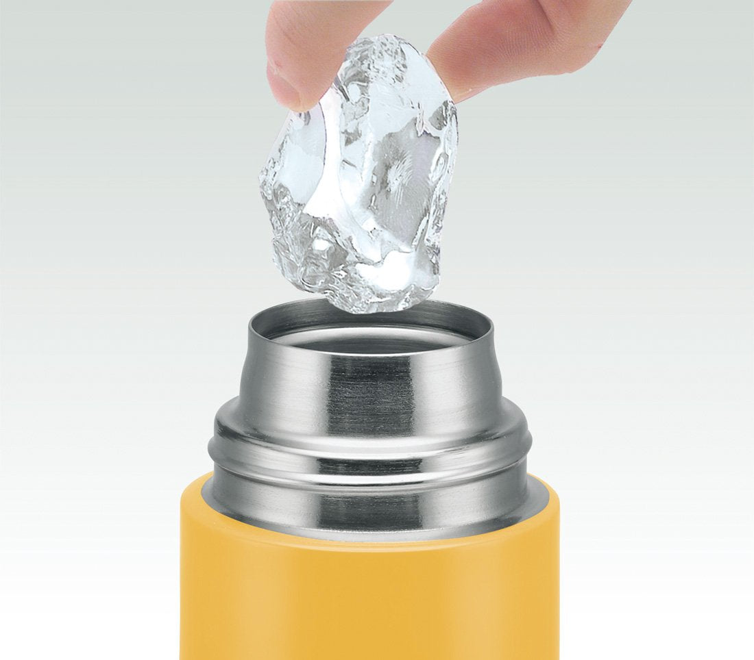 Skater 580ml Stainless Steel Water Bottle for Kids - Snack World Series Sdc6N- Japan Figure Store - #1 Bring To You The Best Japanese Goods