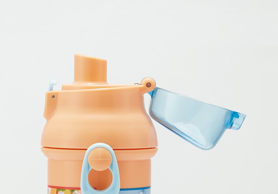 Skater Kids 480ml Water Bottle with Silver Ion Antibacterial Technology Puipui Molcar Design- Japan Figure Store - #1 Bring To You The Best Japanese Goods