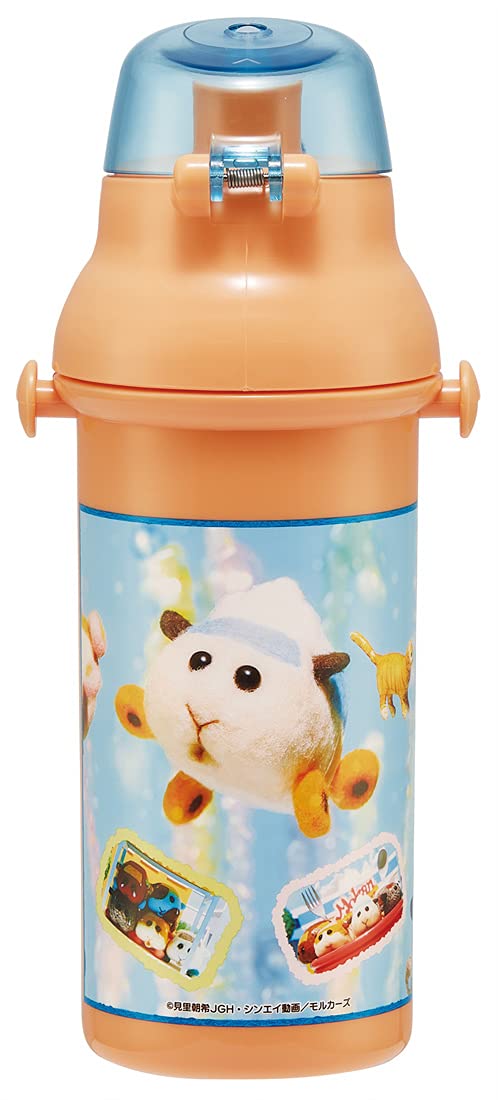 Skater Kids 480ml Water Bottle with Silver Ion Antibacterial Technology Puipui Molcar Design- Japan Figure Store - #1 Bring To You The Best Japanese Goods