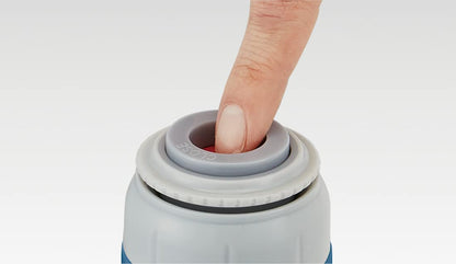 Skater Kids' Disney Frozen Stainless Steel Water Bottle Lightweight Child-Friendly Insulated 580ml Cup- Japan Figure Store - #1 Bring To You The Best Japanese Goods