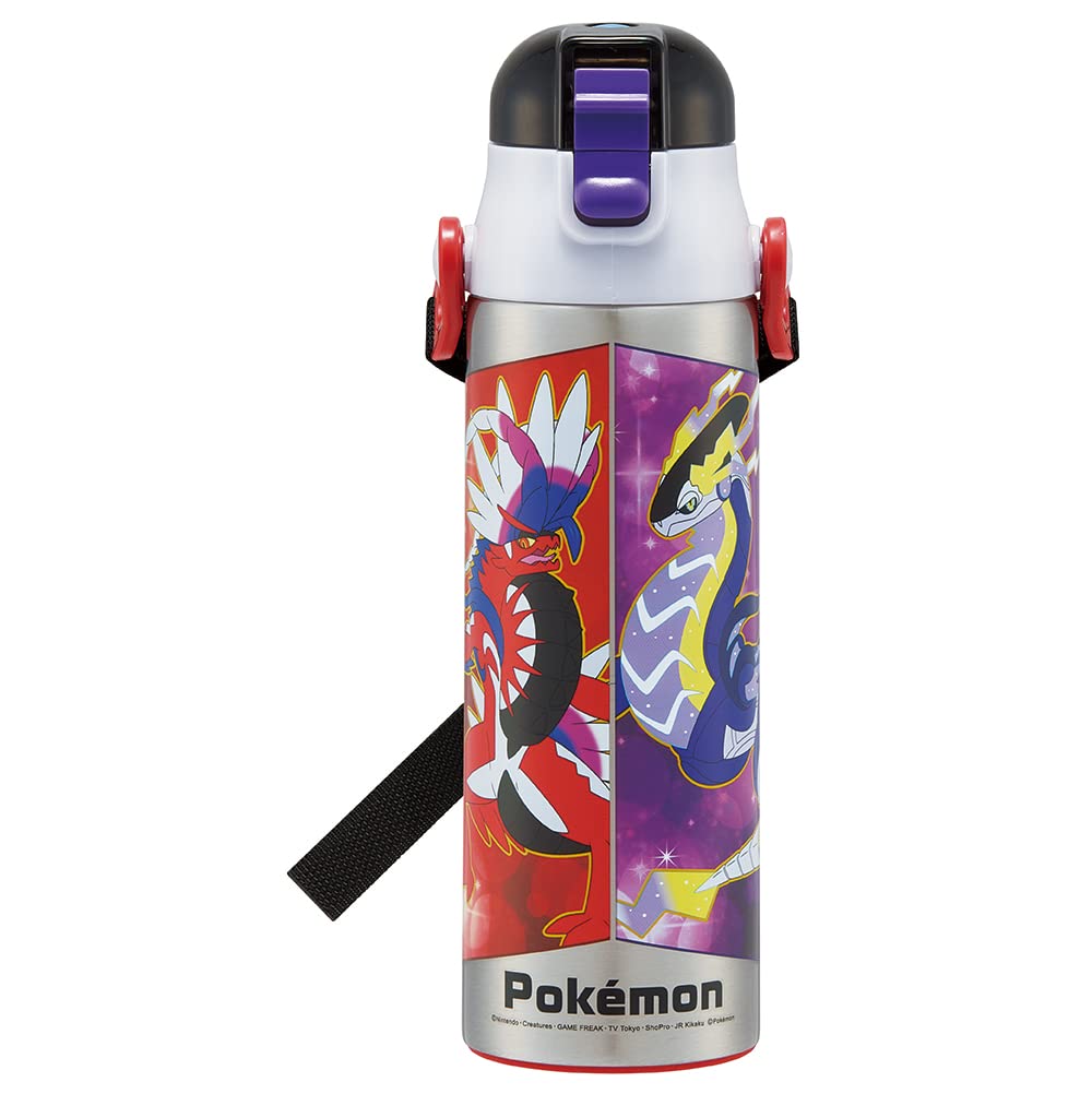 Skater Pokemon 23N Kids Stainless Steel Water Bottle 580Ml Lightweight & Cold-Keeping- Japan Figure Store - #1 Bring To You The Best Japanese Goods