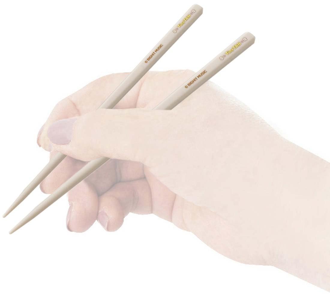 Skater Adult Antibacterial 18cm Chopsticks & Case Set Made in Japan - Tinytan ABC3Ag-A- Japan Figure Store - #1 Bring To You The Best Japanese Goods