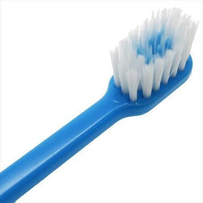 Skater Dental Kit Plarail 15 Tbc3S-A - Oral Care Set by Skater- Japan Figure Store - #1 Bring To You The Best Japanese Goods