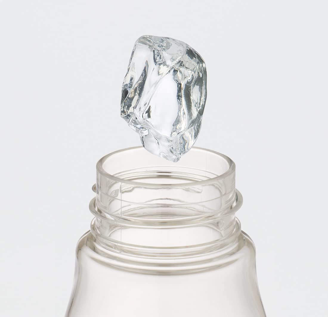 Skater Awesome Peanuts Snoopy 500ml Water Bottle with Tea Strainer- Japan Figure Store - #1 Bring To You The Best Japanese Goods