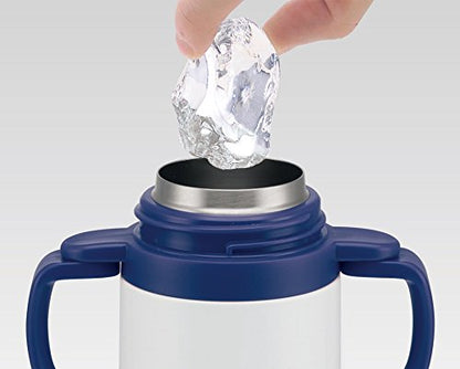 Skater Toy Story Kids 240ml Stainless Steel Water Bottle with Double Handles & Straw- Japan Figure Store - #1 Bring To You The Best Japanese Goods