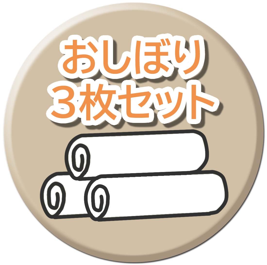 Skater Dinosaur Picture Book Hand Towel Set of 3 Oac1T-A- Japan Figure Store - #1 Bring To You The Best Japanese Goods