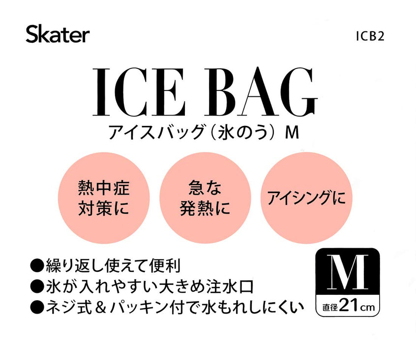 Skater Medium Hello Kitty Ice Bag 21cm Diameter - ICB2 SKU- Japan Figure Store - #1 Bring To You The Best Japanese Goods