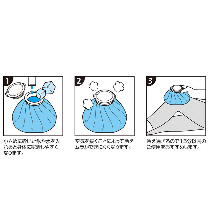 Skater Disney Frozen 2 15cm Skater Ice Bag- Japan Figure Store - #1 Bring To You The Best Japanese Goods