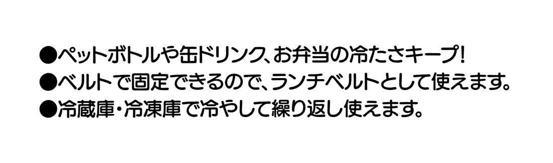 Skater Disney Donald Duck 14 x 8 cm Ice Pack with Belt- Japan Figure Store - #1 Bring To You The Best Japanese Goods