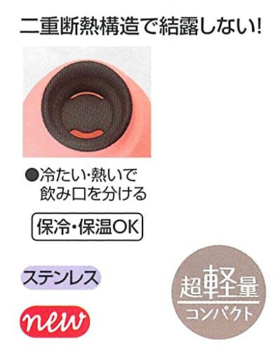 Skater Disney 400ml Stainless Steel Insulated Water Bottle with Chip & Dale Design- Japan Figure Store - #1 Bring To You The Best Japanese Goods