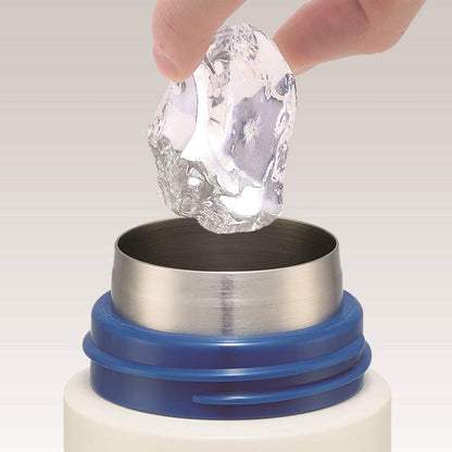 Skater Snoopy Retro 490mL Stainless Steel Insulated Water Bottle Peanuts Label- Japan Figure Store - #1 Bring To You The Best Japanese Goods