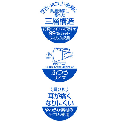 Skater Disney's Winnie The Pooh 3D Regular Size Non-Woven Mask Pack of 10 Msks4-A- Japan Figure Store - #1 Bring To You The Best Japanese Goods