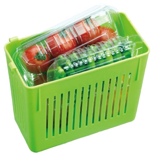 Skater Green Vegetable Organizer Case for Refrigerator - Made in Japan CVBL1- Japan Figure Store - #1 Bring To You The Best Japanese Goods