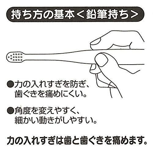 Skater Dinosaur Soft Toothbrush Set for Infants 0-3 Years Old 3 Pieces- Japan Figure Store - #1 Bring To You The Best Japanese Goods