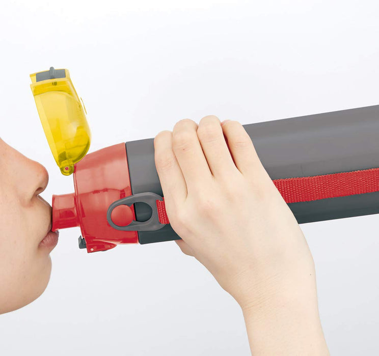 Skater Disney Cars 19 Stainless Steel Sports Water Bottle 580ml - Direct Drinking SDC6N- Japan Figure Store - #1 Bring To You The Best Japanese Goods