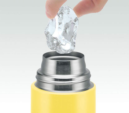 Skater Totoro Daisy Ghibli 580ml Sports Direct Drinking Water Bottle- Japan Figure Store - #1 Bring To You The Best Japanese Goods