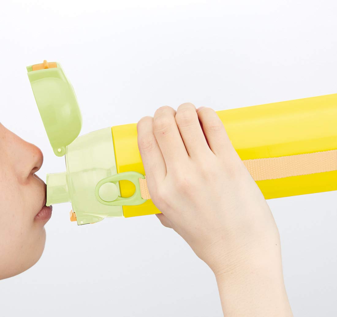 Skater Totoro Daisy Ghibli 580ml Sports Direct Drinking Water Bottle- Japan Figure Store - #1 Bring To You The Best Japanese Goods