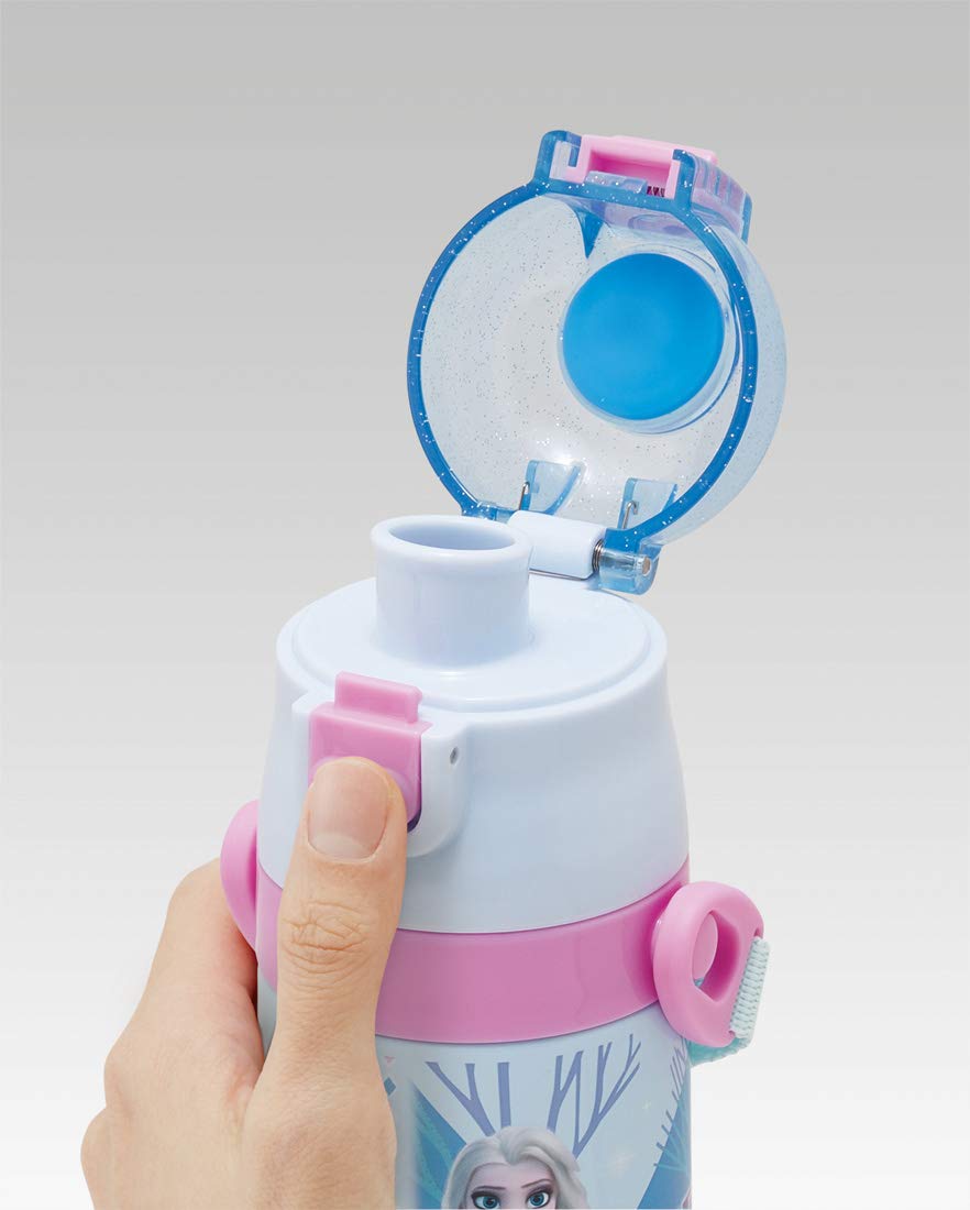 Skater Stainless Steel Water Bottle for Kids 470ml Disney Frozen 2 Edition- Japan Figure Store - #1 Bring To You The Best Japanese Goods