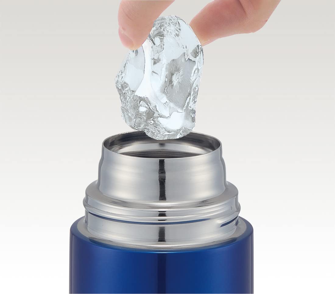 Skater Boys 580ml Direct Drinking Stainless Steel Water Bottle Pokemon 22 Kids - Sdc6N-A- Japan Figure Store - #1 Bring To You The Best Japanese Goods