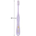 Skater Sumikko Gurashi Soft Toothbrush Set for Children 6-12 Years 15.5cm 3pc- Japan Figure Store - #1 Bring To You The Best Japanese Goods