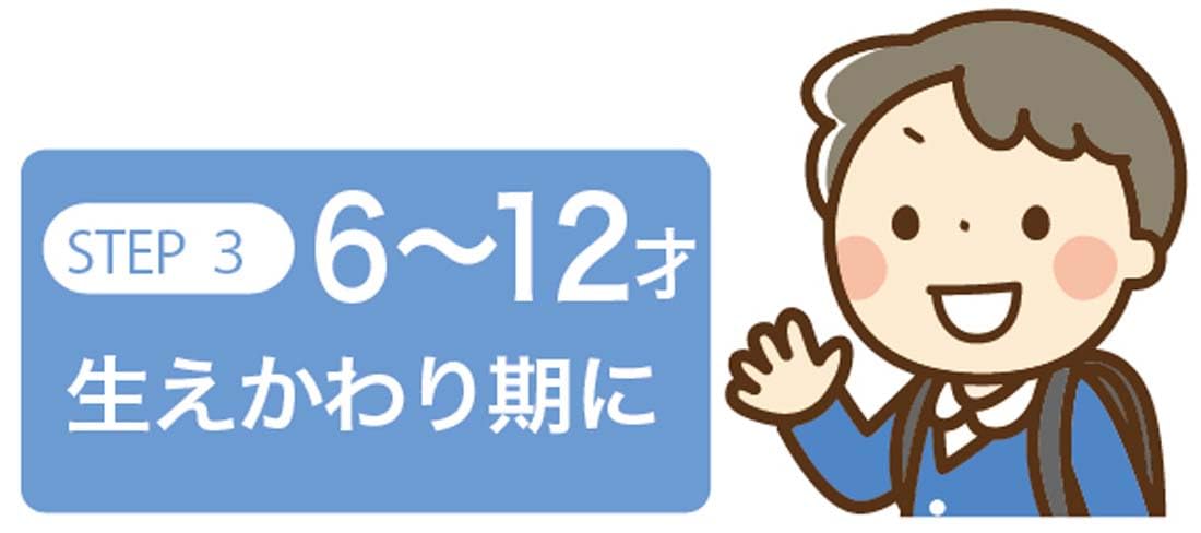 Skater Sumikko Gurashi Soft Toothbrush Set for Children 6-12 Years 15.5cm 3pc- Japan Figure Store - #1 Bring To You The Best Japanese Goods
