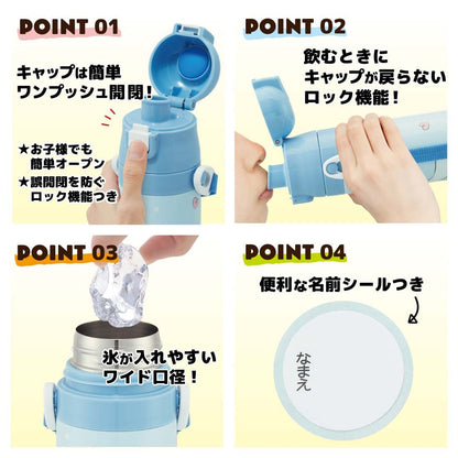 Skater Disney Frozen 23 Stainless Steel Sports Water Bottle 470ml for Girls- Japan Figure Store - #1 Bring To You The Best Japanese Goods