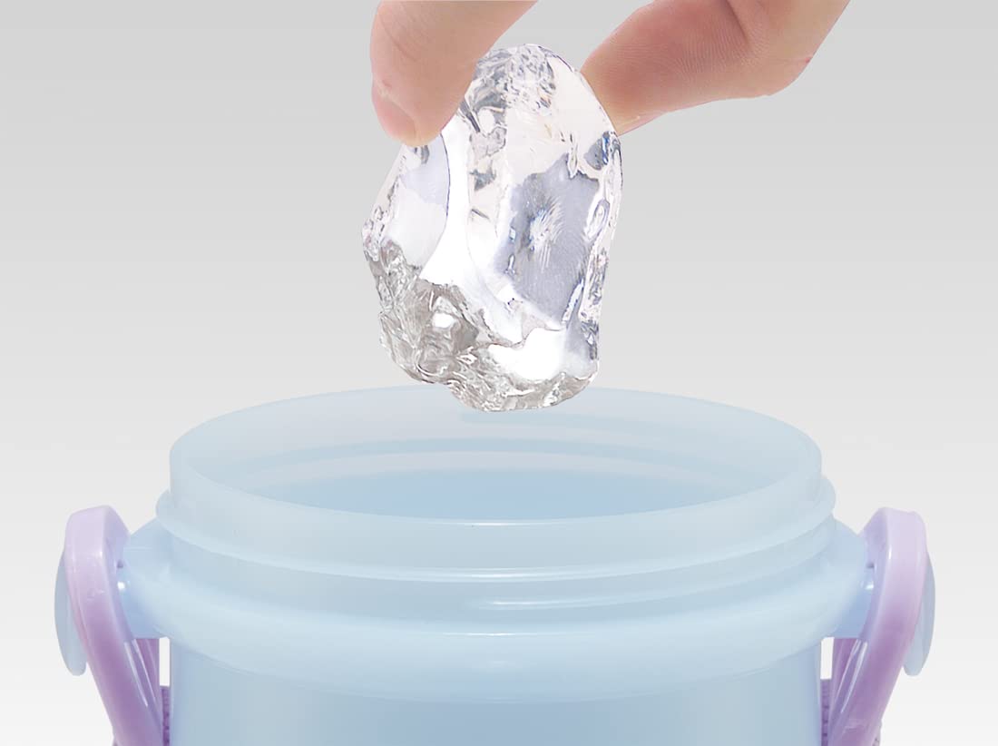 Skater 480ml Frozen Antibacterial Plastic Water Bottle for Kids Girls Made in Japan- Japan Figure Store - #1 Bring To You The Best Japanese Goods