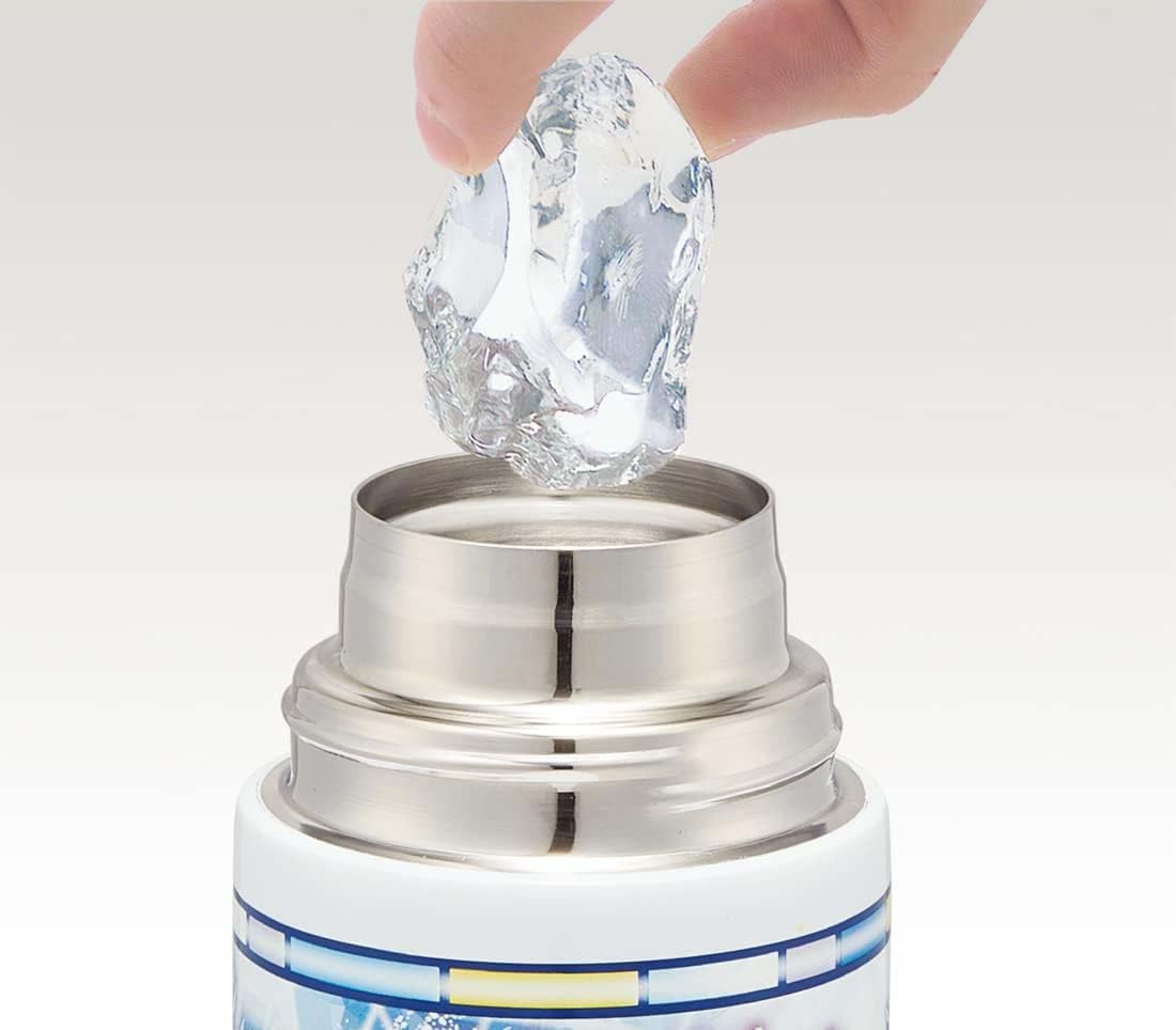 Skater Disney Frozen Stainless Steel Sports Water Bottle for Girls 580ml- Japan Figure Store - #1 Bring To You The Best Japanese Goods